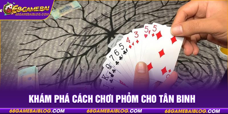 Khám phá cách chơi Phỏm cho tân binh