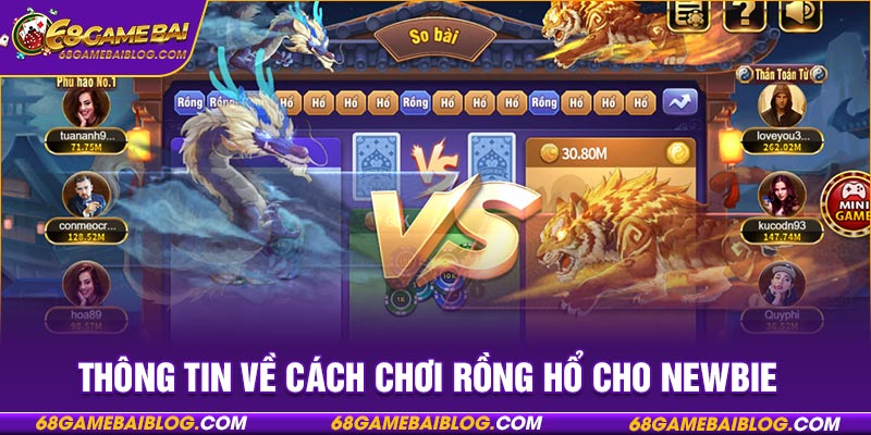 Thông tin về cách chơi rồng hổ cho newbie